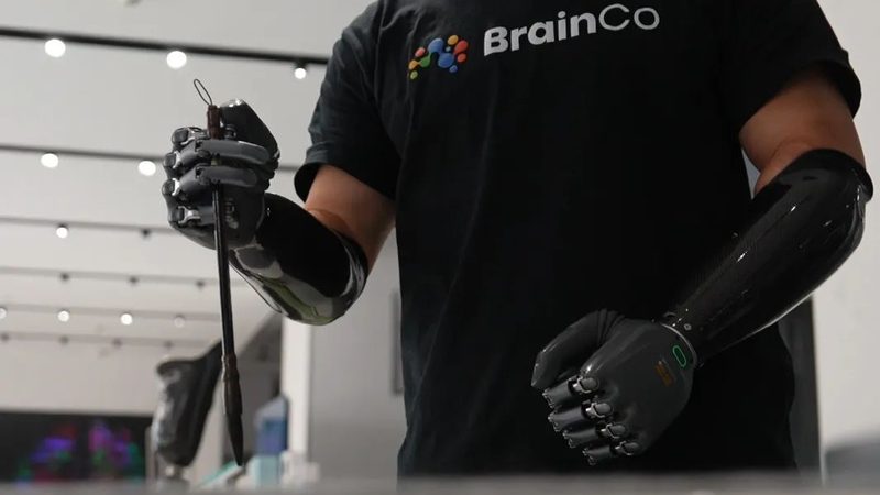 企业搜索引擎：核心技术与选型要点解析